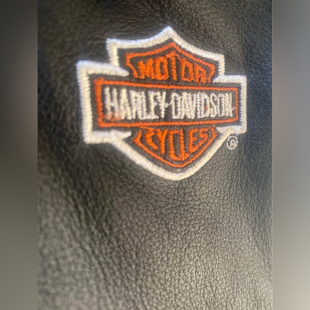 Harley Davidson Ladies NWOT Small Chaps Miss Enthusiasts - Picture 2 of 10